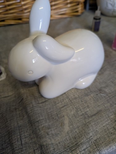 Alice wonderland white - in,